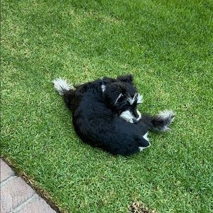 Meet your Posher, Ruth